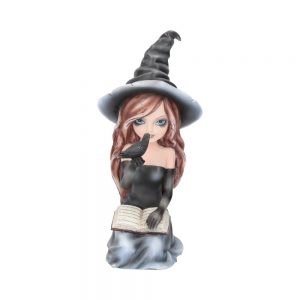 Regan Witch & Her Raven Figurine 15cm