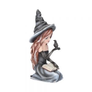 Regan Witch & Her Raven Figurine 15cm